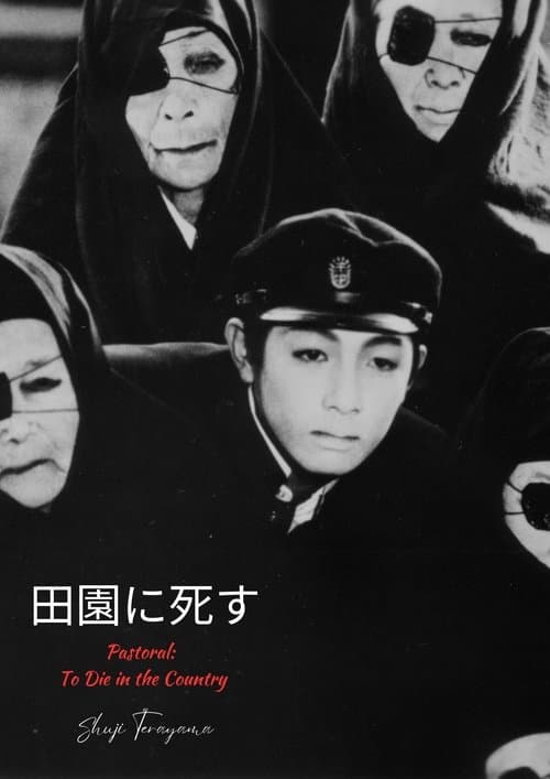 Poster for Pastoral: To Die in the Country