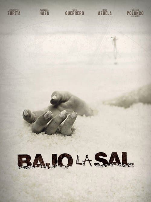 Poster for Under the Salt