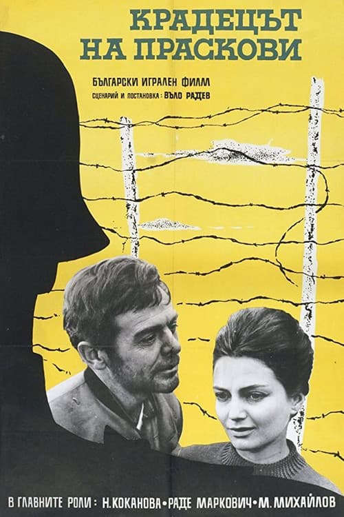 Poster for The Peach Thief