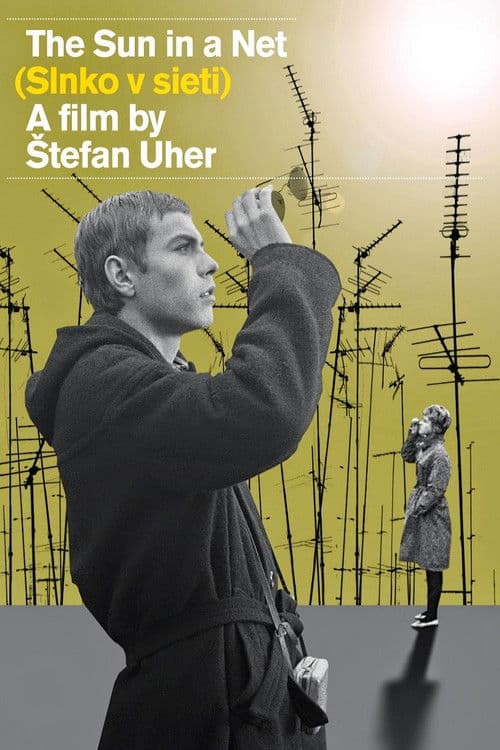 Poster for The Sun in a Net